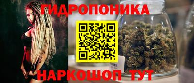 гашик Обнинск