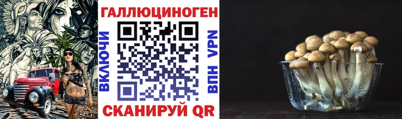 Галлюциногенные грибы прущие грибы  наркотики  Химки 